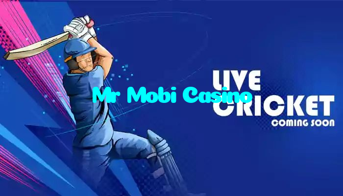 Mr Mobi Casino